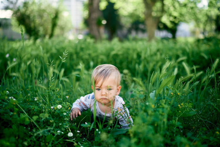 Portrait of boy in grass