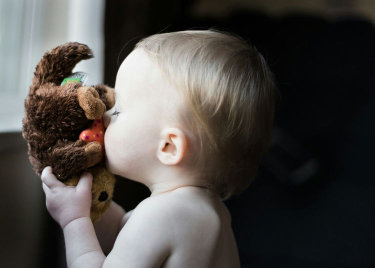 Close-up of cute baby with stuffed toy