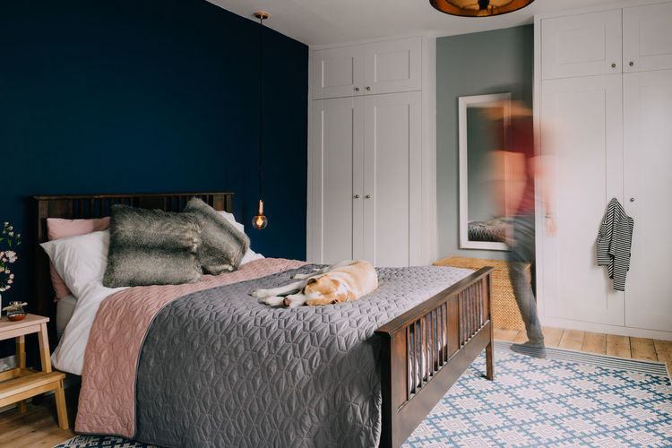 Cat on bed at home
