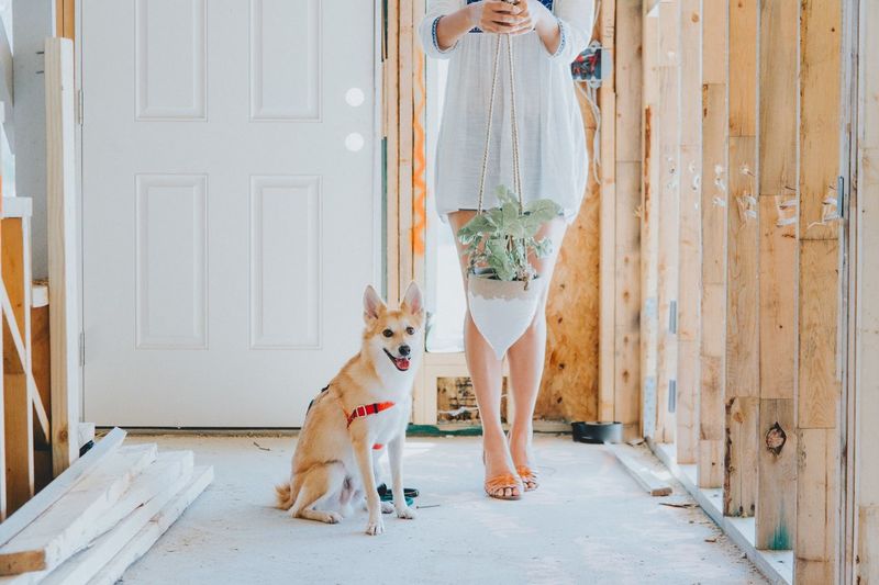 Low section of woman with dog standing on floor