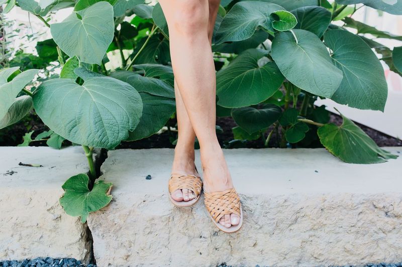 Low section of woman wearing sandal while standing on retaining wall by plant