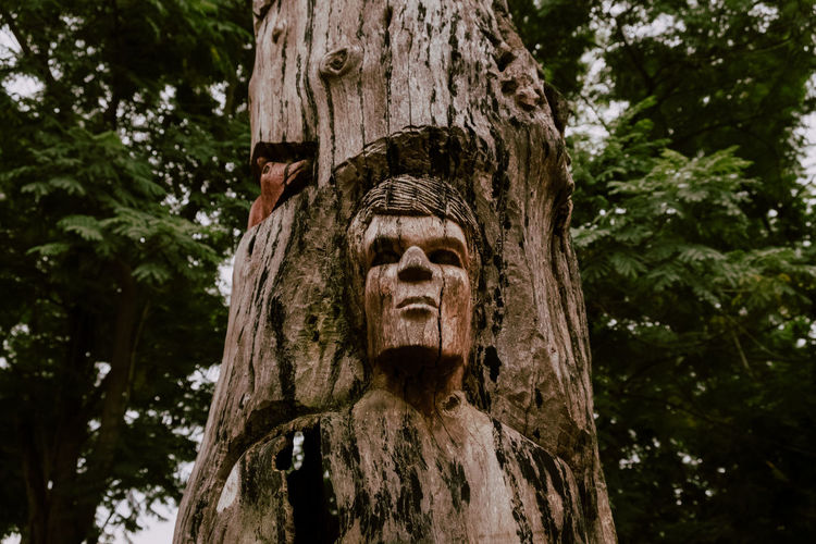 Low angle view of statue against tree trunk in forest