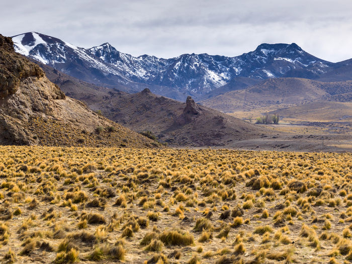 Roads in autumn through the andes mountain range. the longest continental mountain range.