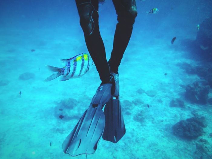 Low section of scuba diver swimming up off seabed