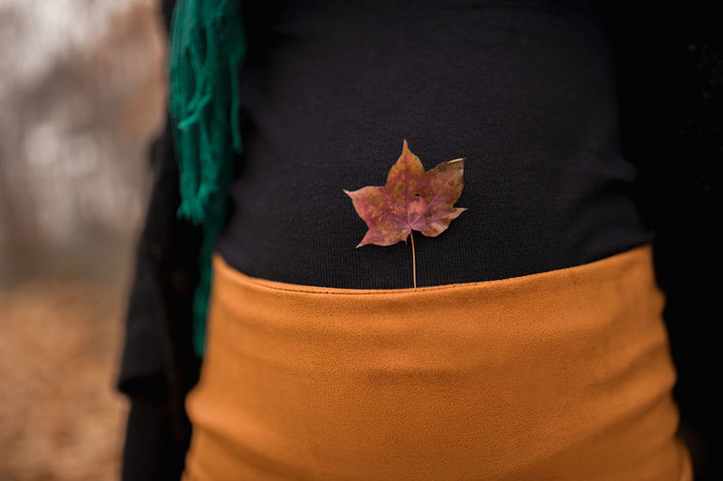 Autumn yellow leaf on a pregnant tummy, a black turtleneck and an orange skirt worn on a woman