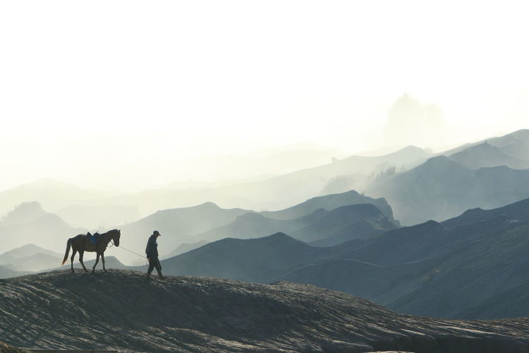 Horses on a mountain range against sky