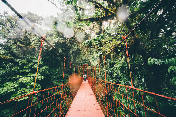 Man with backpack walking on hanging bridge through rain forest national park monteverde, costa rica
