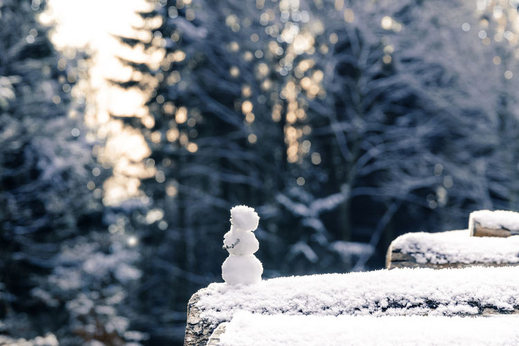 Close-up of snow covered land and a little snowman