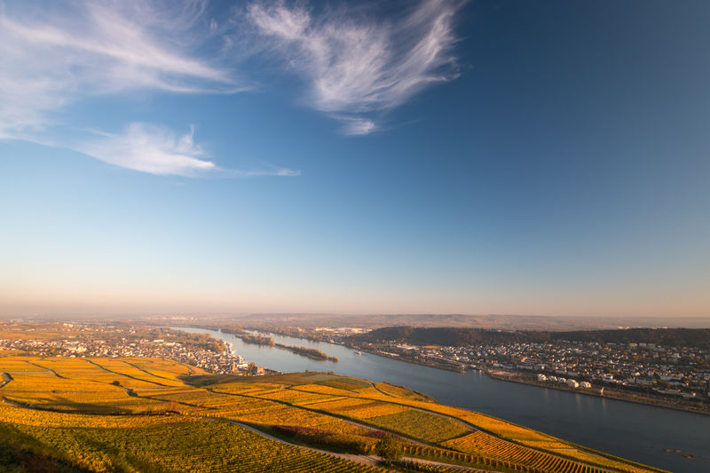 Scenic view to rheingau and rheinhessen with coloring vineyard in autumn against blue sky