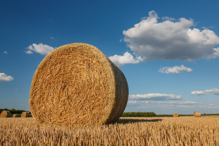 Hay bales on field against sky