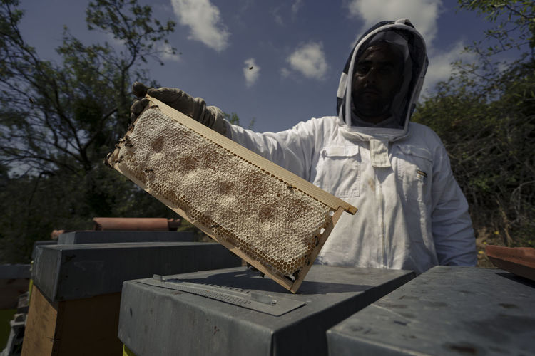 A beekeeper is holding a frame full of honey in front of him