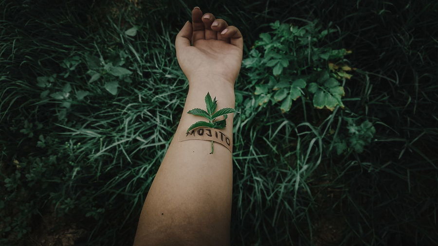 Cropped hand of woman with mojito text against plants