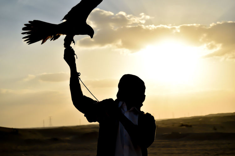 Man with eagle standing against sky during sunset