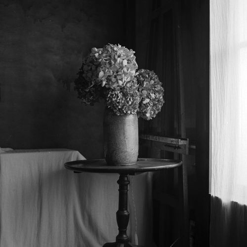 Close-up of flower vase on table against wall at home