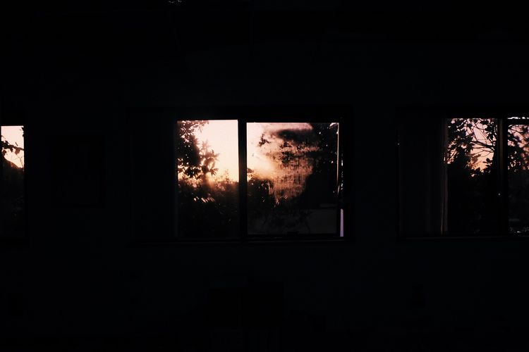 View of trees seen through window