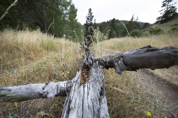 Wooden fence on field