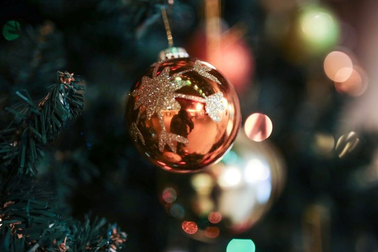 Close-up of christmas decoration hanging on tree