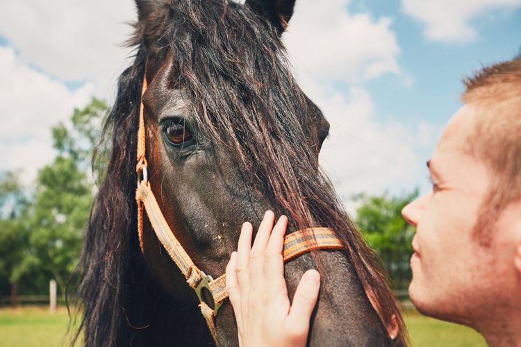 Close-up of man stroking horse on sunny day