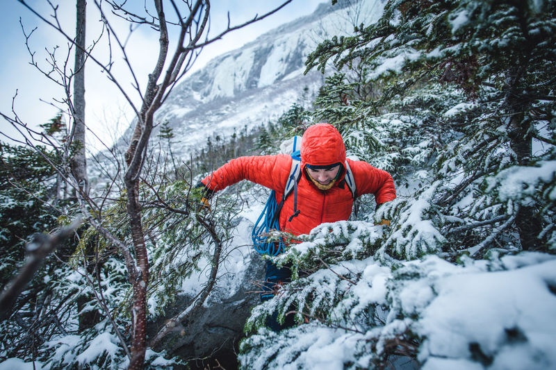 A male alpine climber fights through thick trees and bushes in snow