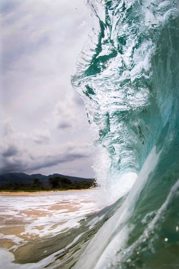 Magical moments spent in the ocean