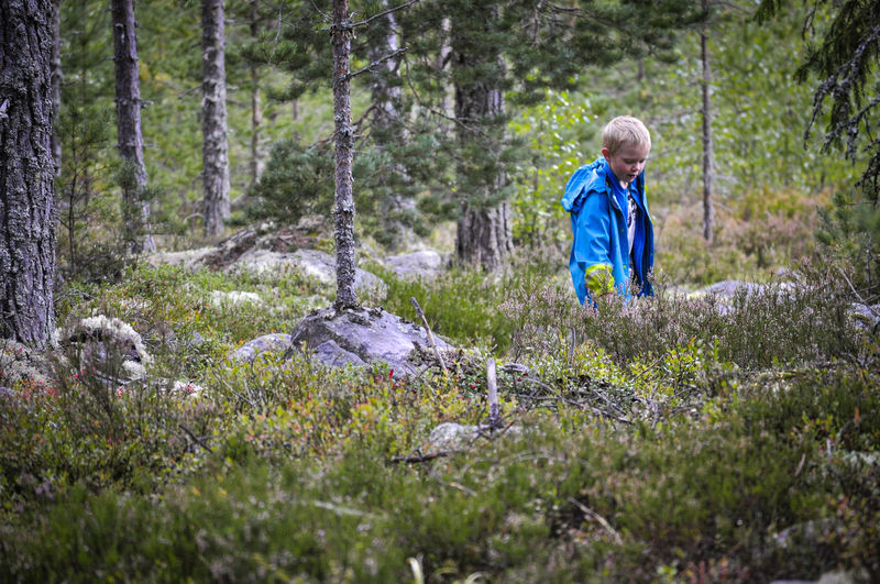 Boy standing in forest
