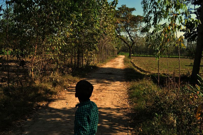 Rear view of boy standing on footpath by trees