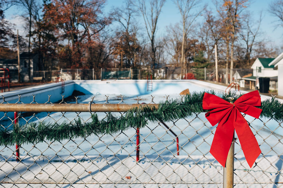 50 Christmas Tree Pictures Hd Download Authentic Images On Eyeem