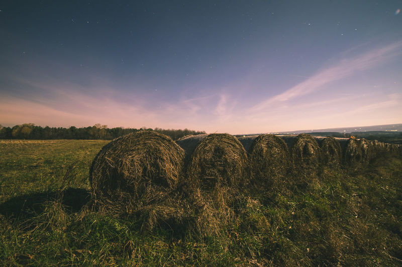 Bale Pictures Curated Photography On Eyeem