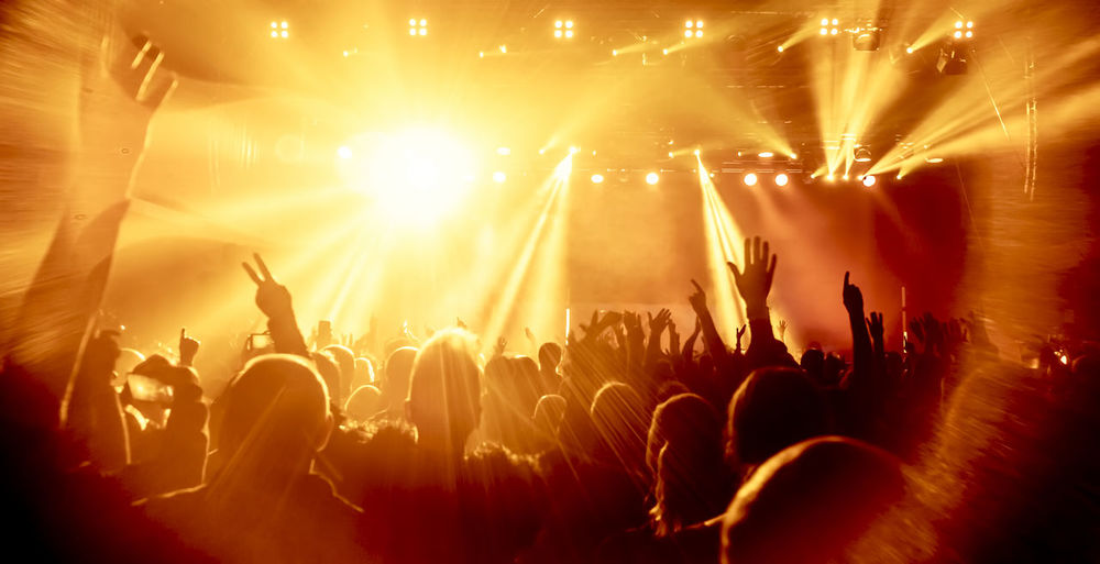 Crowd at music concert