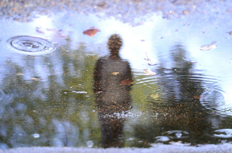 Reflection of woman swimming in lake
