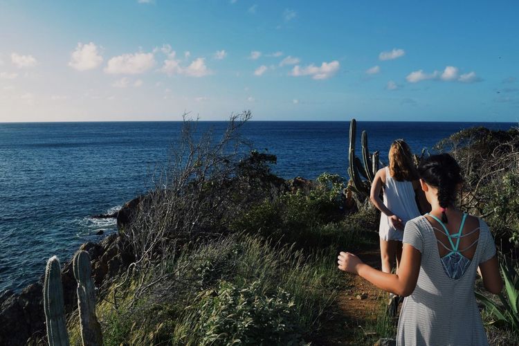 Rear view of women walking amidst plants against sea and sky
