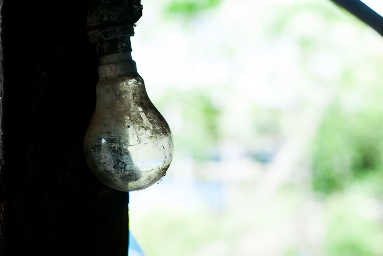 Close-up of old glass hanging from tree