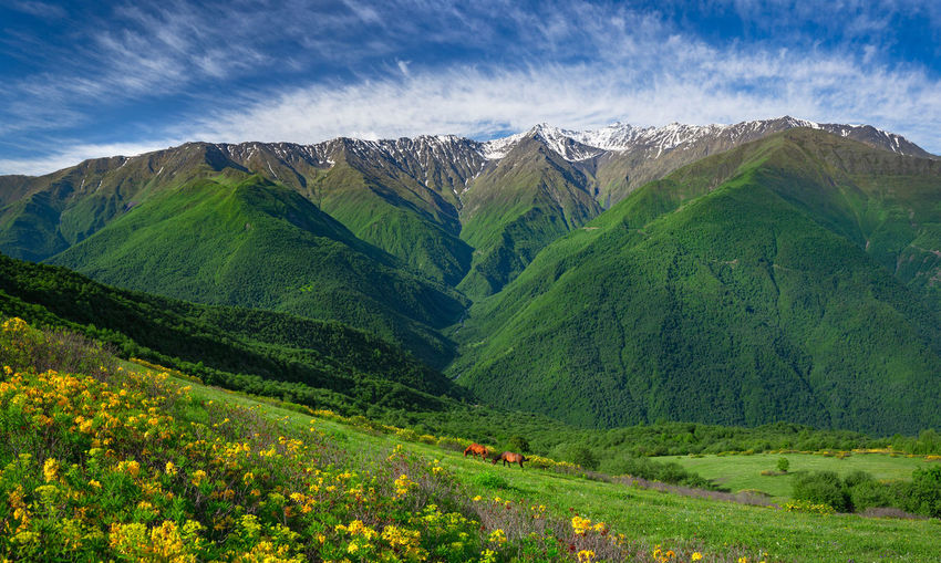 Mountains of chechnya in the caucasus.