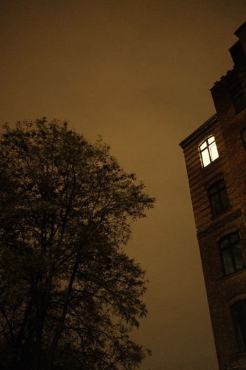 Low angle view of silhouette tree against building at night