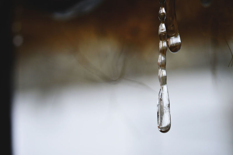 Close-up of water drop on pole