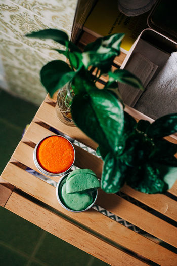 High angle view of plant on table