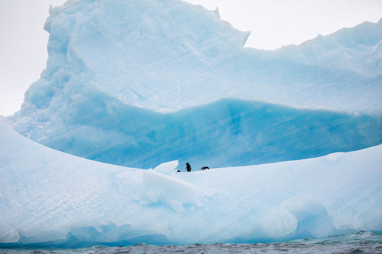 Scenic view of glaciers in sea during winter