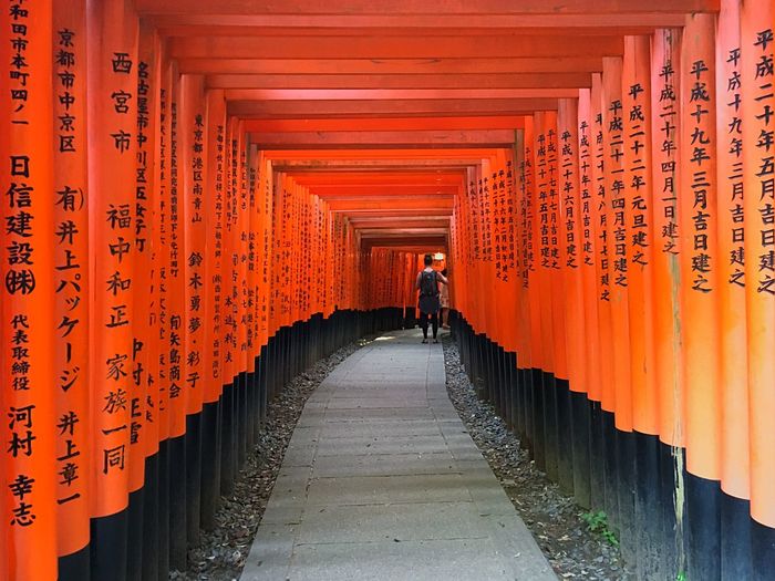Rear view of woman walking under torii gate at fushimi inari shrine