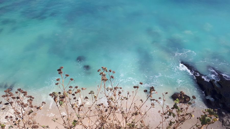 Blue ocean