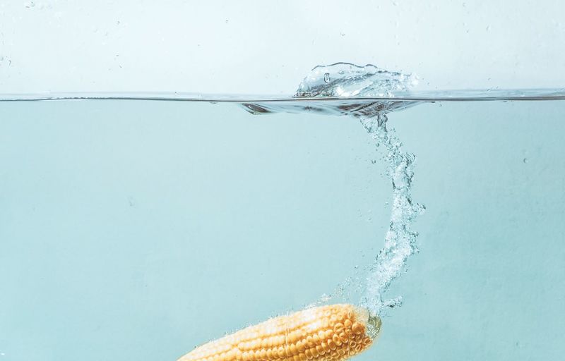 Close-up of corn cob in water