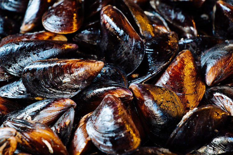 Full frame shot of mussel for sale at market