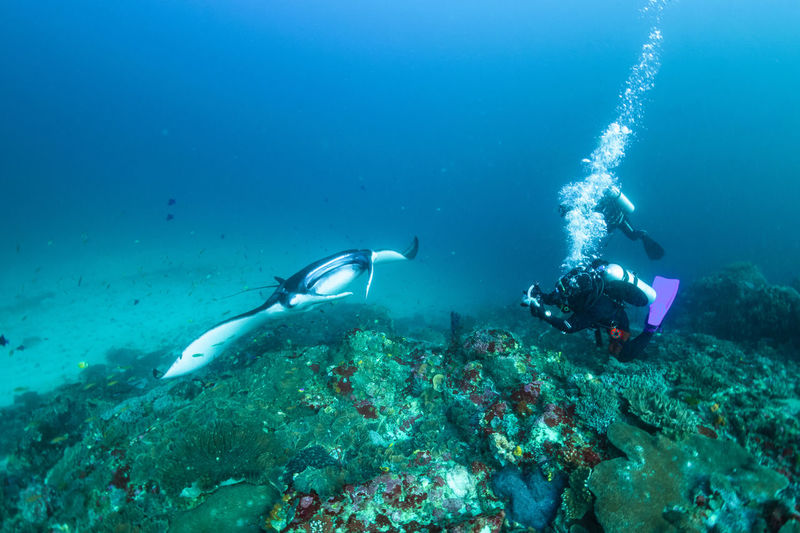 People scuba diving in sea