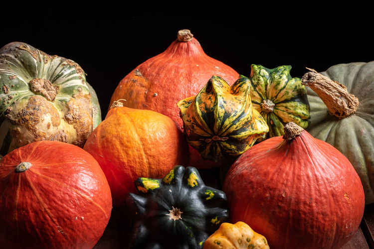 High angle view of pumpkins against black background
