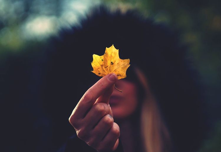 Close-up of woman holding maple leaf