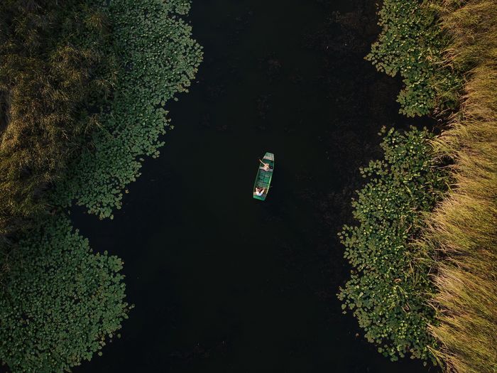 Aerial view of a boat on lake