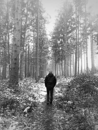 Rear view of a man walking in forest