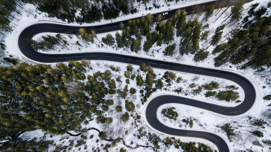 Road by trees on snow covered mountain