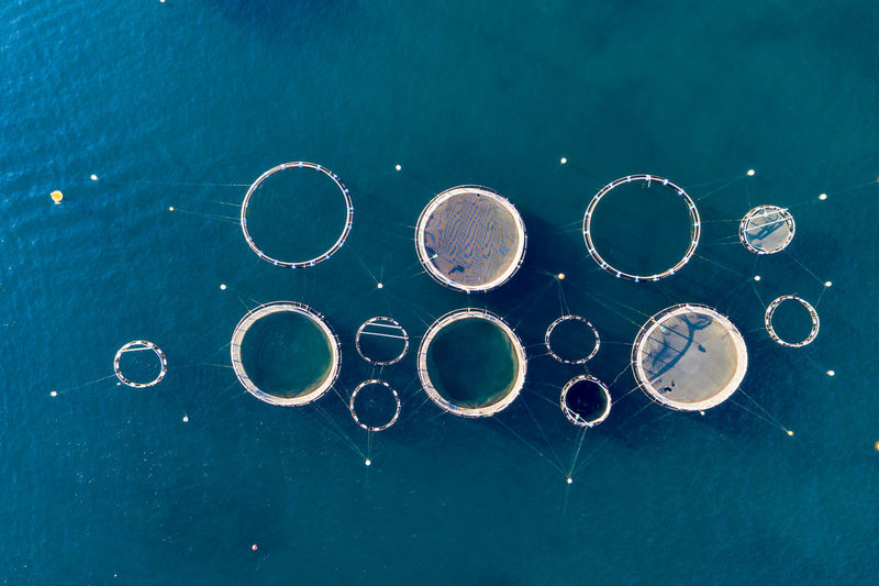 Helicopter view of fish farm in summer