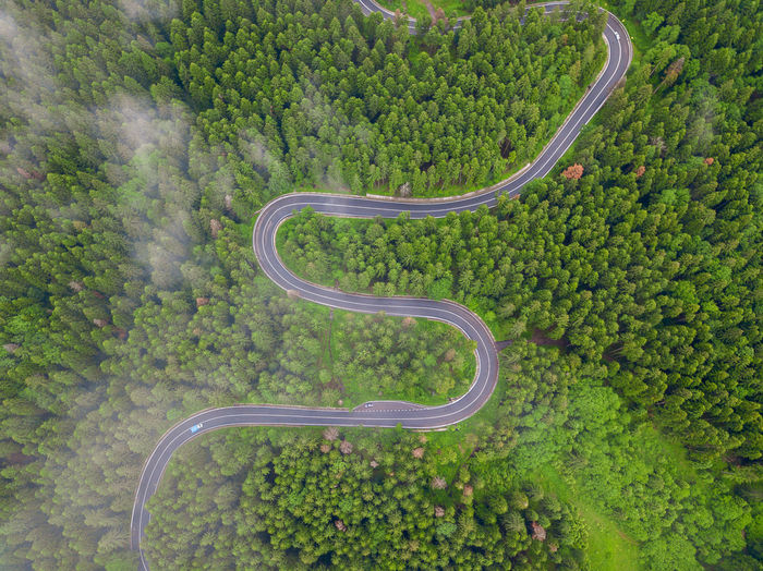 High angle view of bicycle on road in forest