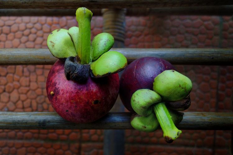 Close-up of mangosteen fruits on metal
